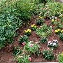 오곡경로당 이미지