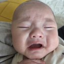 얀의하루