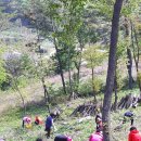 독골농장 이미지