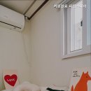 파인스테이 이미지