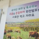 천년한우TMF영농조합법인 네이버블로그