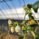 비당농장 이미지