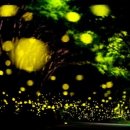 505펜션 민박 이미지