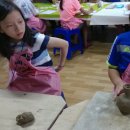 범준농장 이미지