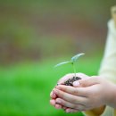 숲생태유치원 이미지