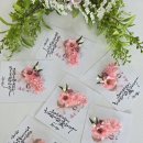 수채 담은 캘리그라피 | 프리저브드 캘리엽서 후기 그대는 세상에 하나밖에 없는 꽃입니다 한문장에 울었대요