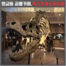 렉스교육 | 수원 행궁동 핫플 이색 공룡카페! 렉스프레소뮤지엄 방문후기(추가)