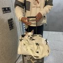 평창로그하우스 | 원주 평창 속초 강원도 강아지 동반 주말 카페, 식당, 숙소까지 풀코스 후기