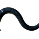 나주여인숙 이미지