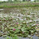 용안어린이집 이미지