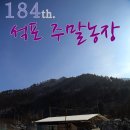 석포농장 네이버블로그