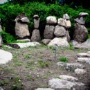 선바우농장 이미지