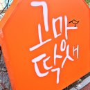 고망딱새