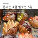 번영로L | 부산 수영빵집 꽃피는4월 밀익는5월 l 광안리베이커리 비건빵 후기