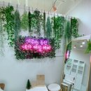 가꾸는동안(뷰티나) 이미지