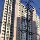 평산중앙로 이미지