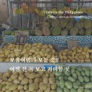 세우마트 | [필리핀보홀여행] 보홀 여행의 모든것!!_보홀 환전소, 과일집, 할로망고, 쇼핑, 빵집 추천!!