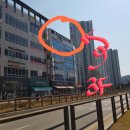 지야헤어살롱 | [플랜H헤어살롱]인생헤어플래너 를 만나다💇‍♀️
