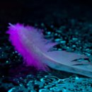 수동쉼터 이미지