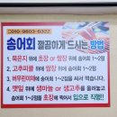 비발디파크 맛집 신선하고 맛있는 송어회 맛집 / 비발디송어골 / 내돈내산 후기