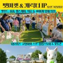 순천 애니멀 필름 페스타 이미지