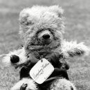 테디베어 이미지