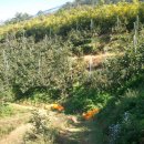 숲고을농장 이미지