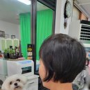 금잔디뷰티 이미지