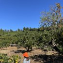 금동농장 이미지