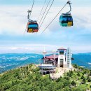 대형카프라자 이미지