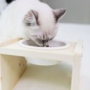 에코사료 이미지