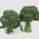 원종 헬스 이미지