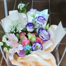 여송지성 이미지