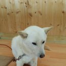 신기축산 이미지