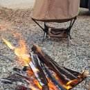 평화강변수목캠핑장 이미지