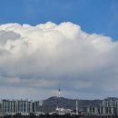 수산시장 | 파주보안관 노량진수산시장 알쭈꾸미 &amp; 멍게 구매후기+쭈꾸미손질(+국내 알쭈꾸미1kg시세 있음)