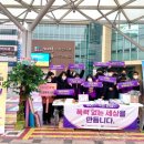 제천 가정폭력상담소 이미지