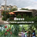 곰마을민박