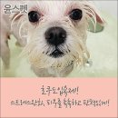 윤스피부미용