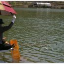 아차실지 이미지