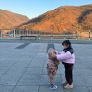 이제, 단양 | [ 아기랑단양여행 ] 단양구경시장 , 단양재래시장 흑...빵 등 먹거리 다양한 구매후기 및 주차장 안내