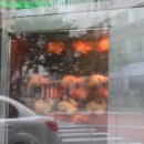 신시가지 (스타벅스 앞) 이미지