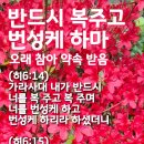 주님앞에제일교회 티스토리