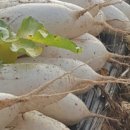 충남농장 이미지