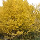 무궁화펜션 이미지