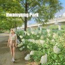 사상근린공원
생태주차장 이미지