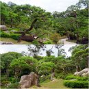 소나무정원 이미지