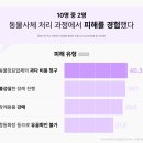 장례114 | 세종 고양이 장례식장 추천 | 세종 고양이 장례 비용, 후기 정리
