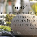 새이름 이미지