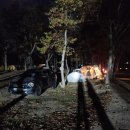 참새둥지야영장 이미지